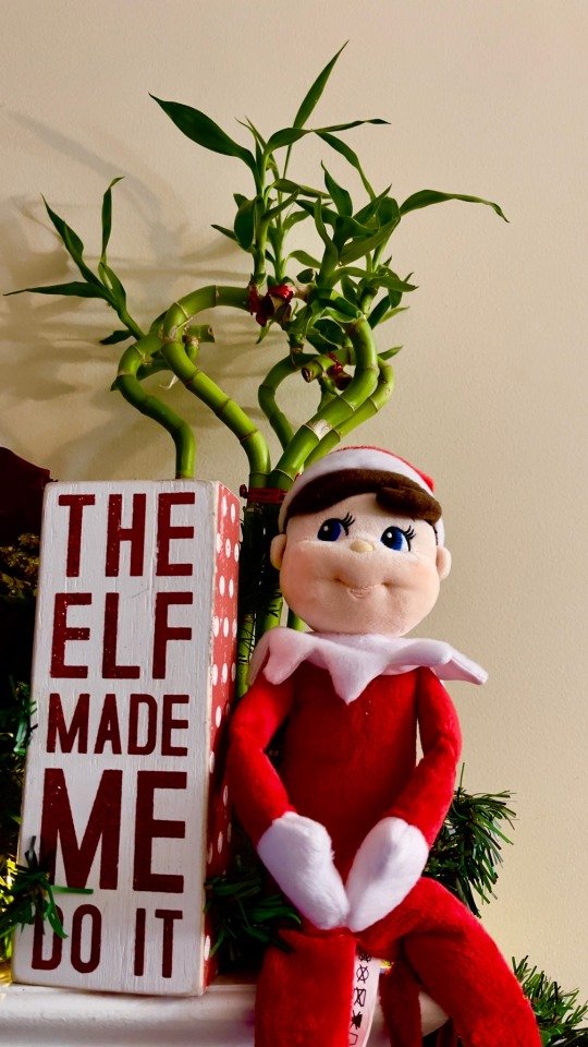 Elf on the bamboo!Last one for the November daily creative p