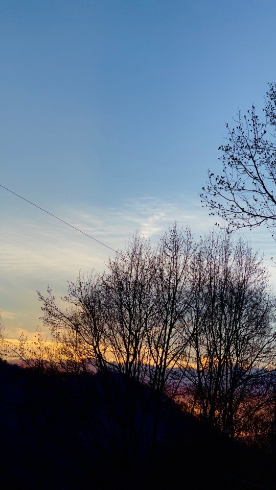 Mountain sunset through the bare trees