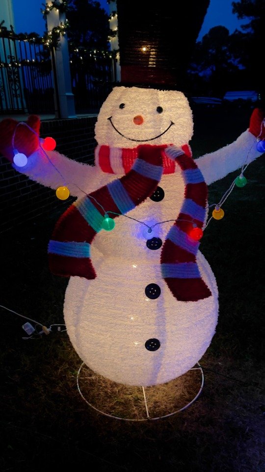 Happy Snowman!