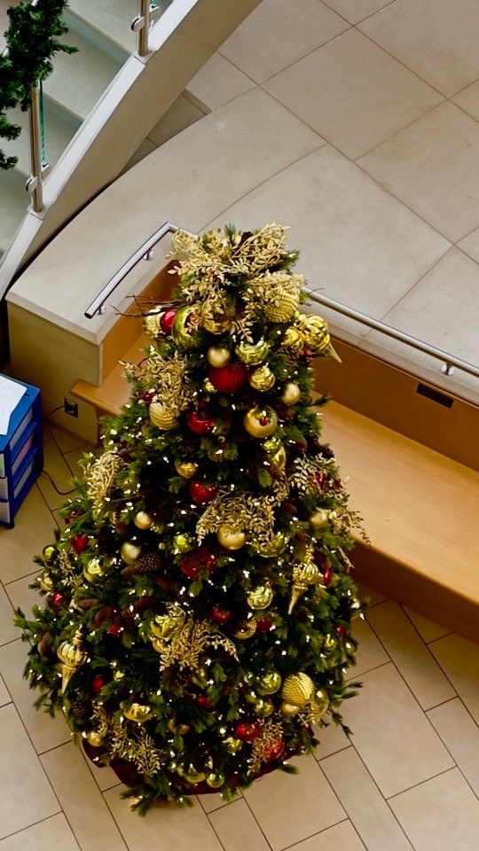 Aerial Christmas tree view!