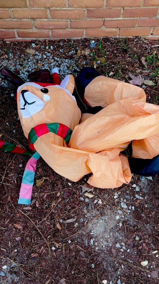 Christmas over – reindeer collapsed…