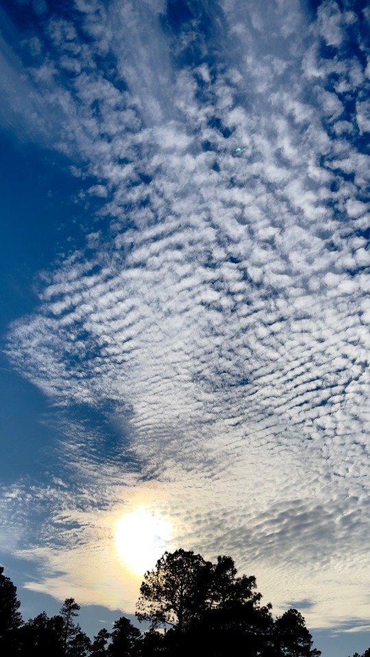 Late afternoon sun and some pretty awesome wispy high clouds