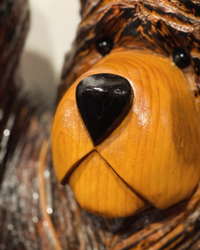 Just a bear&hellip;End of the February photo project!