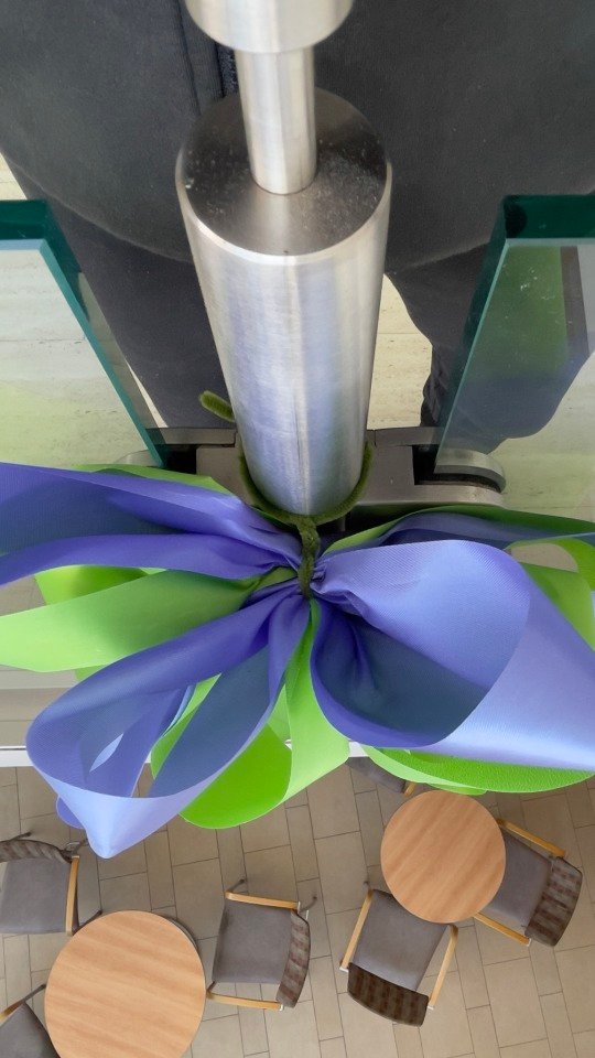 A ribbon of hope – aerial view