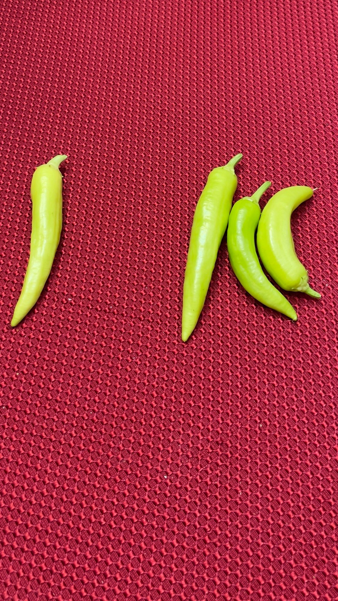First Peppers!