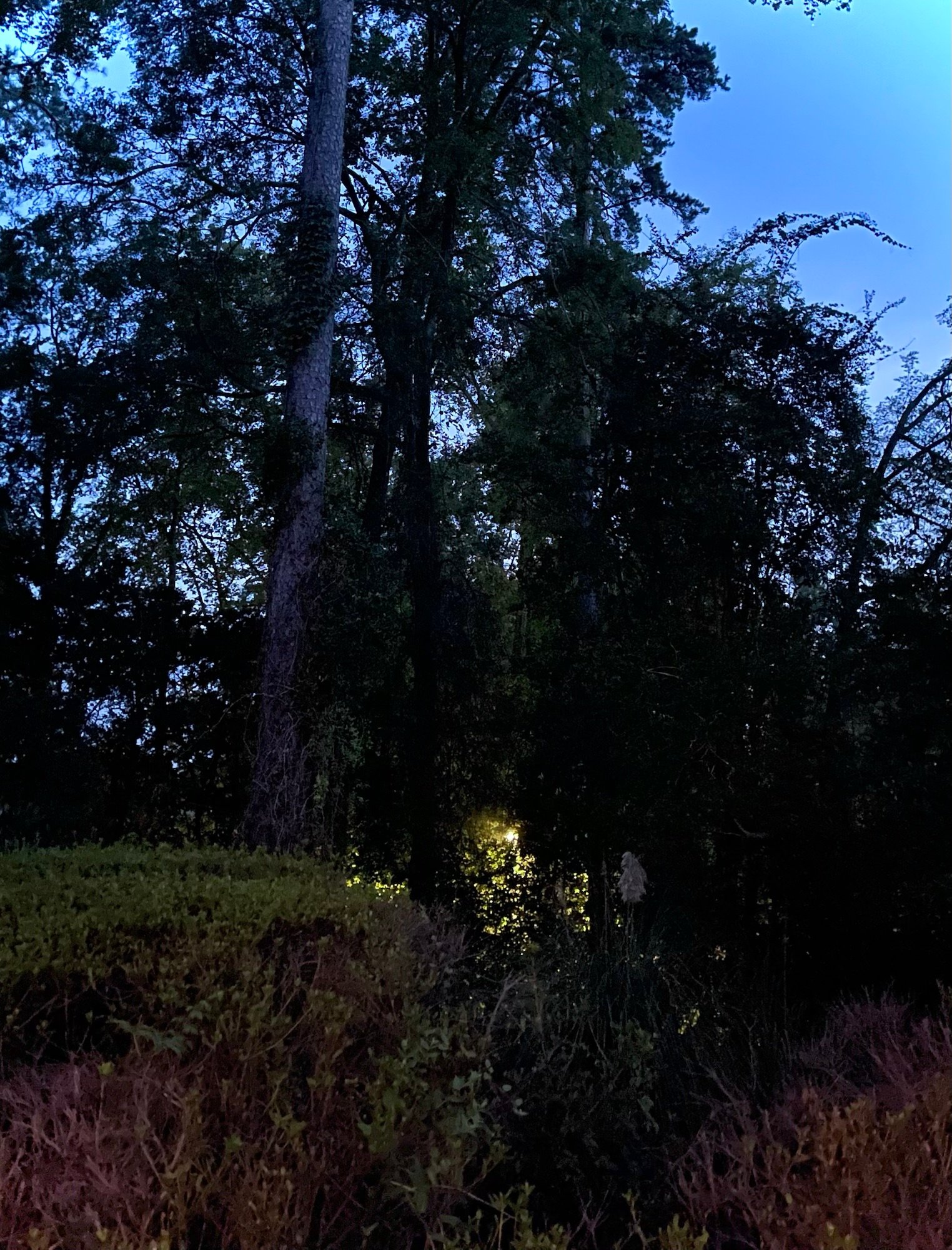 Autumn Equinox