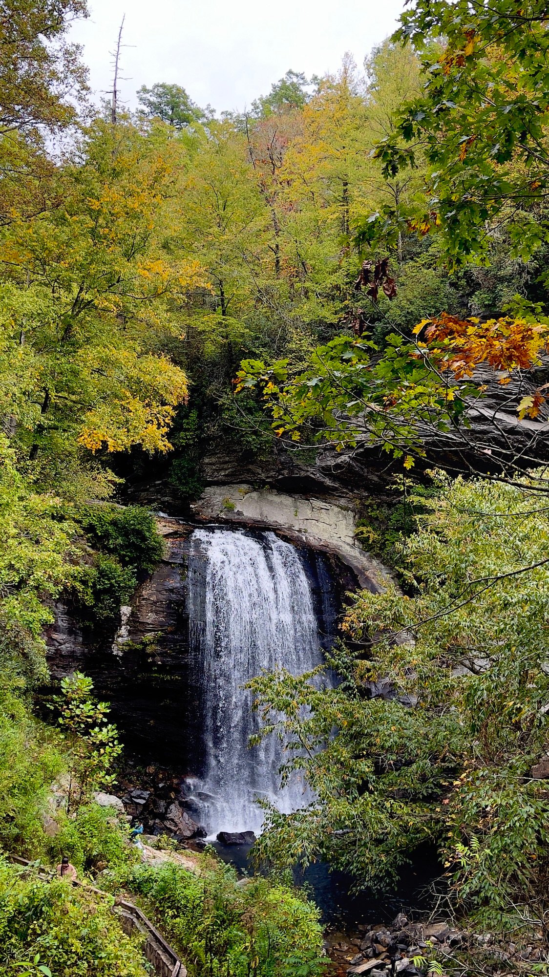 Looking Glass Falls
